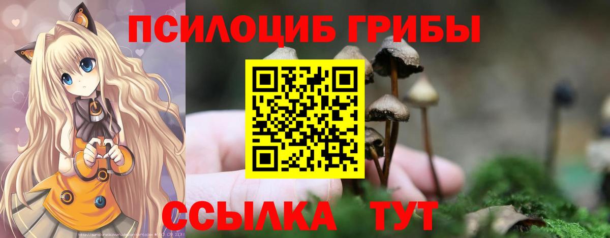 Добрянка  цена   Вход с VPN  Галлюциногенные грибы Psilocybe 